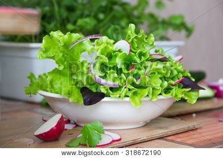 Preparing Salad At Home With Radish, Lettuce,red Onion And Basil Leaves. Diet Vegetarian, Urban Gard