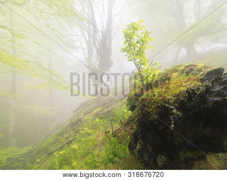 Gorbea Natural Park, Bizkaia, Basque Country - May 03, 2014.