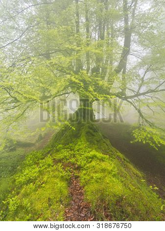 Gorbea Natural Park, Bizkaia, Basque Country - May 03, 2014.