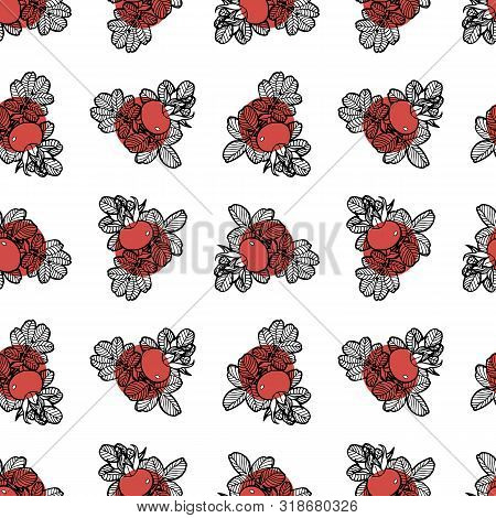 Dog Rose Seamless Vector Hand Drawed Pattern