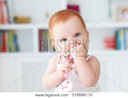 Infant Baby Girl Biting Silicone Nibbler Toy