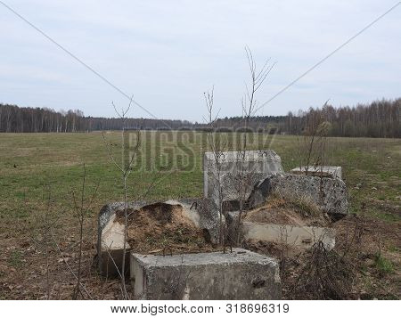 Autumn Morning. Muranovo Village, Moscow Region, Russia