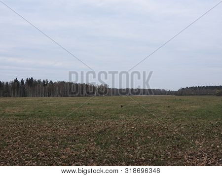 Autumn Morning. Muranovo Village, Moscow Region, Russia