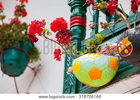 Mongui, Colombia - August, 2019: Flowering Plants Planted In The Soccer Balls Traditionally Produced