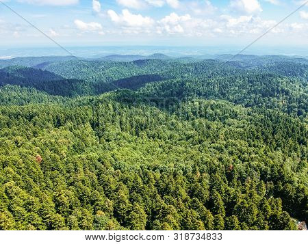 Aerial View On Green Forest In Bosnian Mountains Kozara, Mrakovica