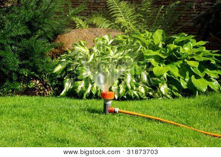 Gelbe Sprinkler, Bewässerung des Hinterhof-Gartens.
