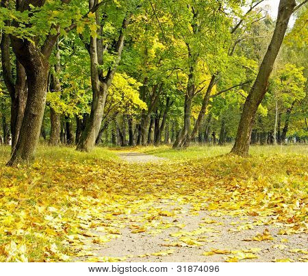 a través de Parque allí ocurre...