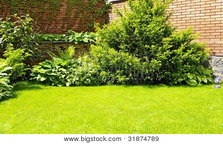 eine Wand-Garten mit Cipress und Sträuchern