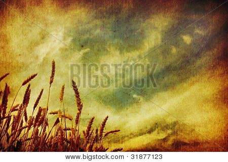 Ohren des Weizens auf Grunge hintergrund