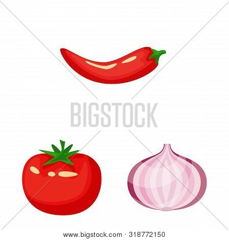 Isolated Object Of Food And Flavors Icon. Set Of Food And Ingredient Stock Vector Illustration.