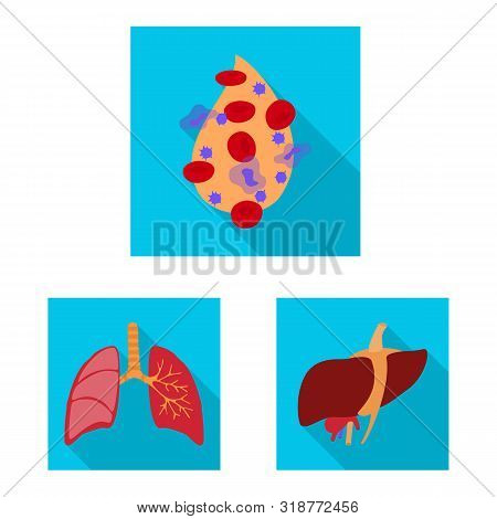 Vector Illustration Of Human And Health Icon. Collection Of Human And Scientific Vector Icon For Sto