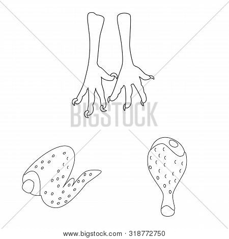 Isolated Object Of Food And Grilled Icon. Set Of Food And Bird Vector Icon For Stock.