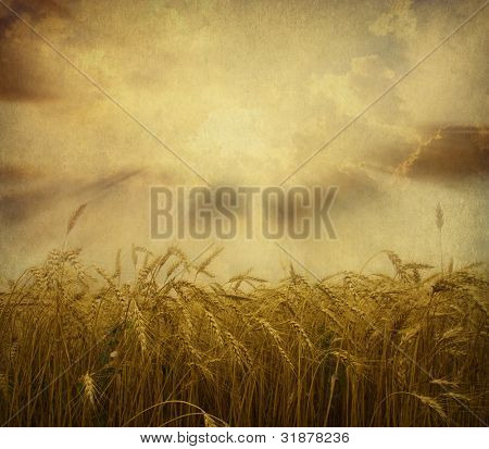 Ohren des Weizens auf Grunge hintergrund