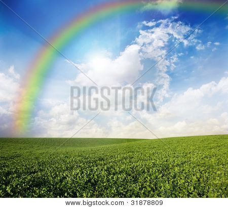Gröna ängen under blå himmel med en regnbåge