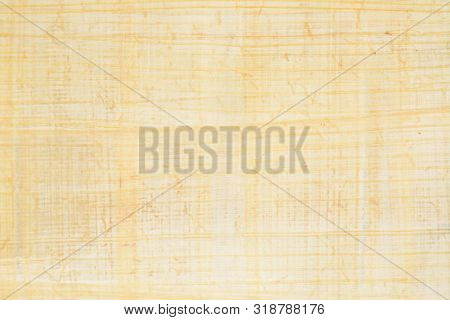 Authentic Egypt Papyrus Paper Background And Texture Number 37. Closeup Macro.