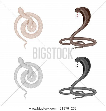 Vector Design Of Mammal And Danger Logo. Collection Of Mammal And Medicine Vector Icon For Stock.