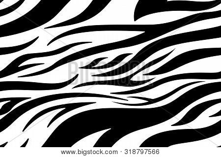 Zebra Print. Stripes, Animal Skin, Tiger Stripes, Abstract Pattern, Line Background. Black And White