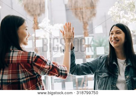 Young Studebt Sitting In Library Studying Sharing Knowledg And Giving High-five While Their Colleagu