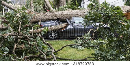 A Car Gets Smashed When A Tree Falls Over During A Summer Storm.