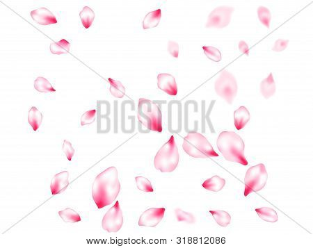 Spring Tree Flowers Parts, Airy Flying Petals Windy Blowing Background. Pink Sakura Blossom Falling 