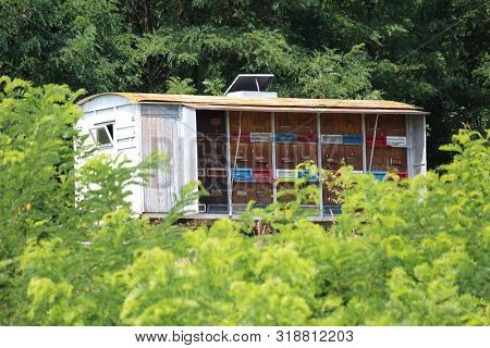 Vintage Retro Wooden Colorful Beehive Mounted On Old Truck Trailer In Local Forest Surrounded With D