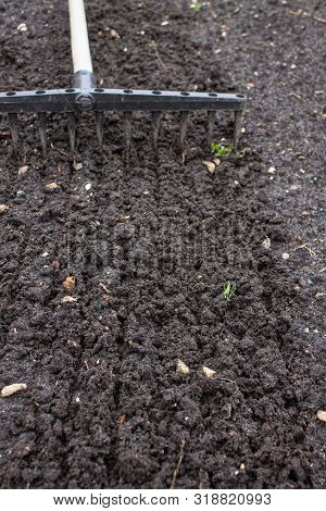 Loosening The Excavated Ground With A Rake Close-up