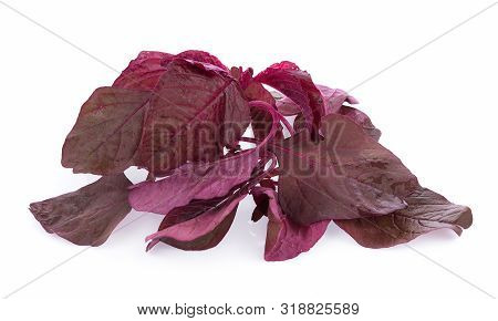 Closeup Red Spinach Isolated On White Background