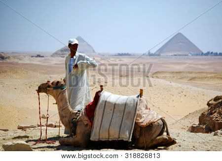 Cairo / Giza, Egypt - May 7, 2008 - Camel Rider In The Desert Of Sahara. Bedouin And Camel Near The 