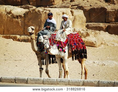 Cairo / Giza, Egypt - May 7, 2008 - Camel Rider In The Desert Of Sahara. Bedouin And Camel Near The 