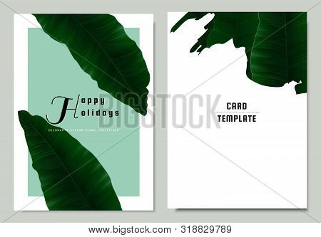 Greeting/invitation Card Template Design, Green Asplenium Nidus, Birds Nest Fern On Blue Background