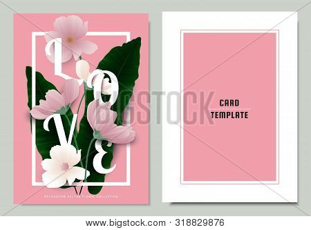Greeting/invitation Card Template Design, Green Asplenium Nidus, Birds Nest Fern With Cosmos Flowers
