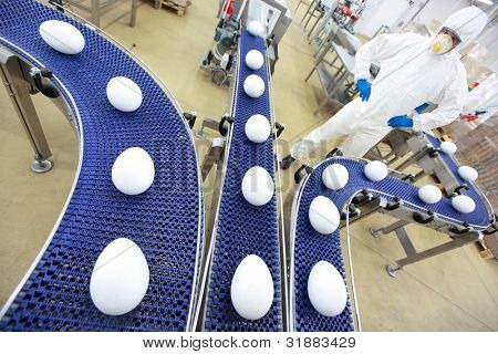 volledig beschermd in witte uniform engineer bij xxl formaat ei productielijn in GGO fabriek
