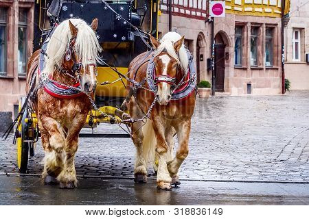 Carriage With Brown Christmas Decorated Horses In The Historic Center Of Nuremberg, Germany.