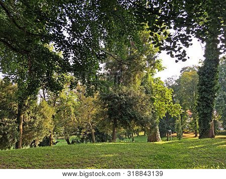 Jankovic Castle Park Or Perivoj Dvorca Jankovic Ili Dvorski Perivoj Jankovic - Daruvar, Croatia