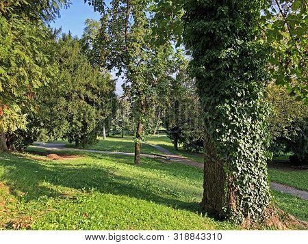 Jankovic Castle Park Or Perivoj Dvorca Jankovic Ili Dvorski Perivoj Jankovic - Daruvar, Croatia