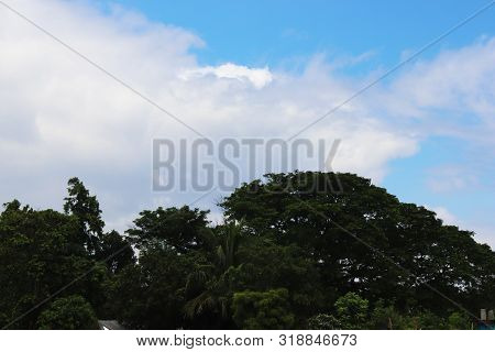 Bright Blue Sky With White Cloud And Some Green Trees