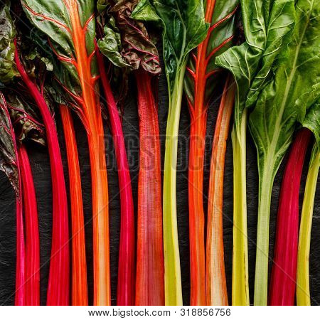 Swiss Chard In Different Colors, Multi Colored  C On A Black Background, Top View