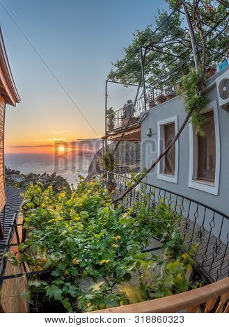 Trees And Buildings While Sun Sets Over Mediterranean