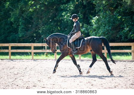 Training process. Young teenage girl riding bay trotting horse on sandy arena practicing at equestrian school. Colored outdoors horizontal summertime image with filter