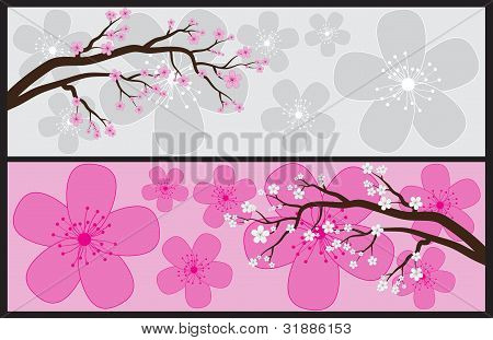 Blossom bannerek
