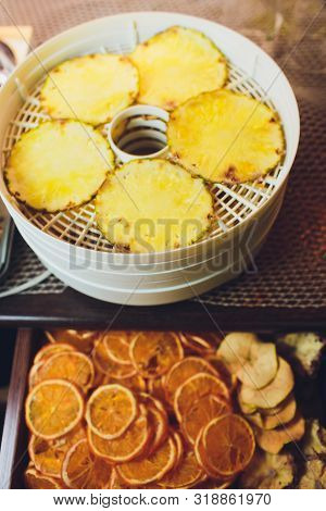 Fresh Dryed Apple Chips Prepared In A Home Fruit And Vegetable Dryer. Healthy Food Concept.