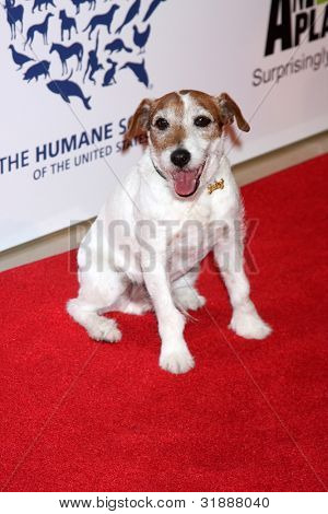 LOS ANGELES - 24 MAR: Outtakes arriva al 2012 Genesis Awards presso il Beverly Hilton Hotel a marzo