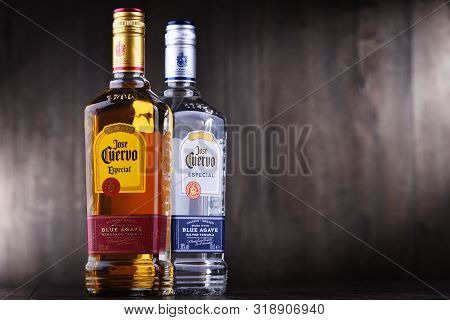 Bottles Of  Tequila Jose Cuervo