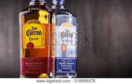 Bottles Of  Tequila Jose Cuervo