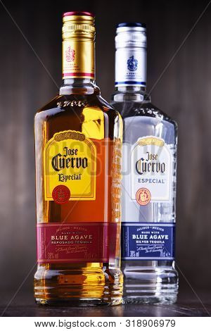 Bottles Of  Tequila Jose Cuervo