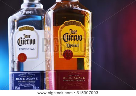 Bottles Of  Tequila Jose Cuervo