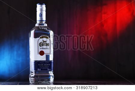 Bottle Of  Tequila Jose Cuervo