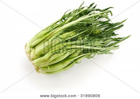 puntarelle, spárga cikória, olasz növényi