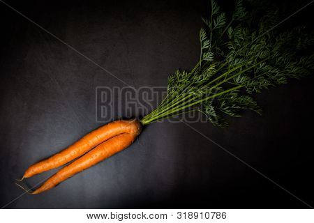 A Strange Funny-shaped Carrot With Tops On A Dark Background. Vegetable Crop Concept. Minimalism, To