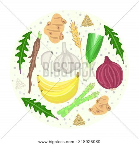 Prebiotic Food. Nutrition. Nondigestible Fibers. Gastrointestinal Health. Healthy Diet Supplement. C